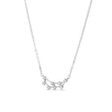 Capricorn Necklace
