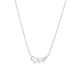 Capricorn Necklace